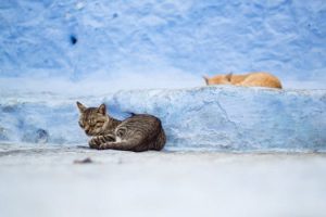 Simple Steps to Finding a Recruiter Who Truly Understands Your Niche