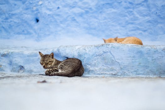 Simple Steps to Finding a Recruiter Who Truly Understands Your Niche