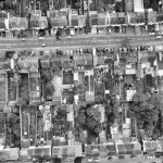 The Transformative Impact of Community Gardens on Property Value