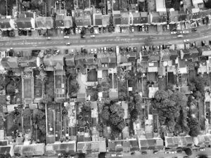 The Transformative Impact of Community Gardens on Property Value