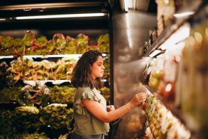 The Impact of Store Loyalty Programs on Spending