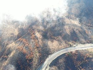 The Importance of Checking for Past Flood or Fire Damage