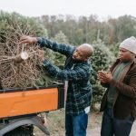 Creating a Strategy for Shopping for Holiday Items