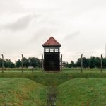 The Unexpected Freedom of Choosing Your Own Education Path