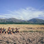 Exploring the Specialized World of Farm and Agricultural Land Sales