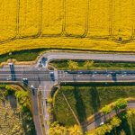 Exploring the Best Legal Fields