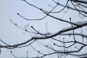 Simple Ways to Make Law Relevant