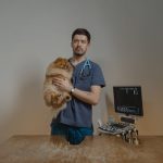 Veterinary Medicine Careers: Caring for Animal Health